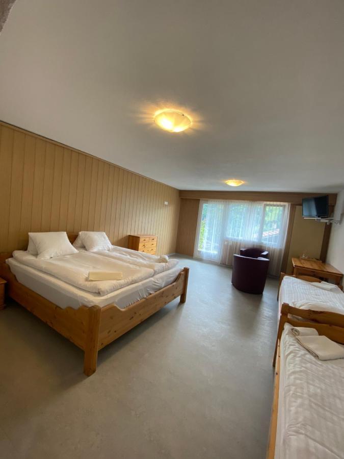 Sky Rooms, Mountainous View Saas im Prattigau Exterior foto