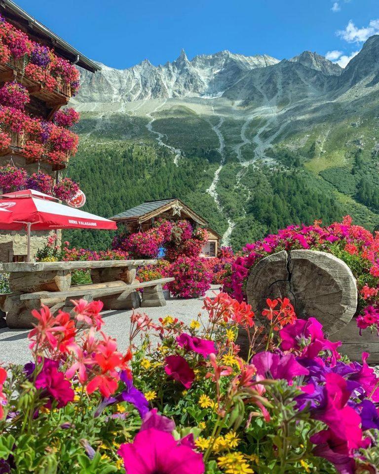 Sky Rooms, Mountainous View Saas im Prattigau Exterior foto
